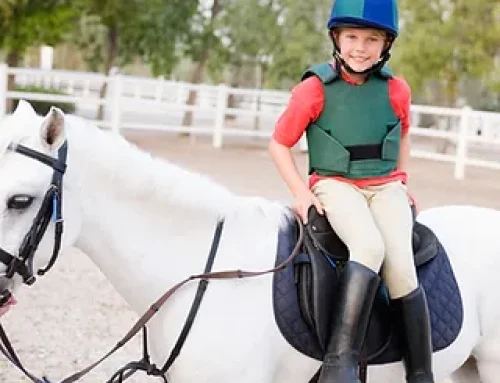 Pony Rides (Oct. select dates only)