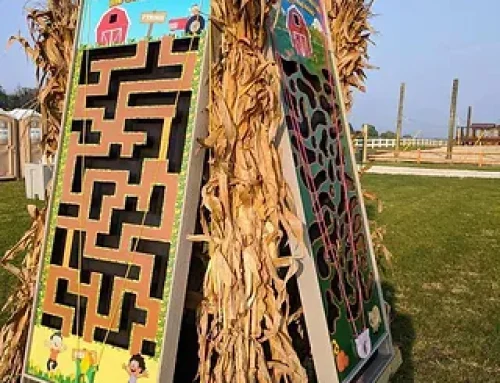 Farmer Wall Ball