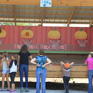 barnyard-ball-zone