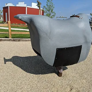 bull-riders