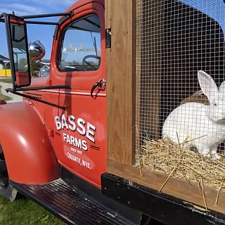 bunnytruck