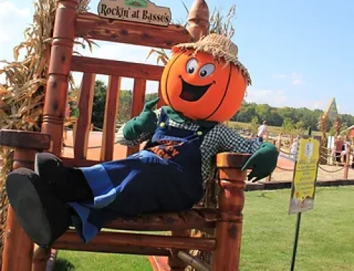 Giant Chair