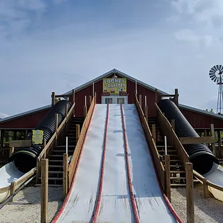 giant-slides