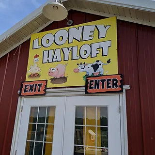 looney-hey-loft