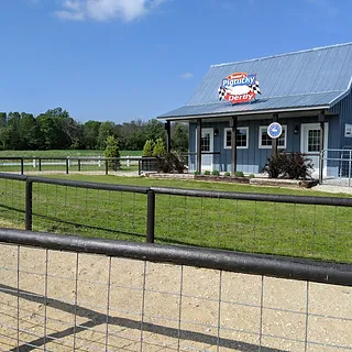 pig-races
