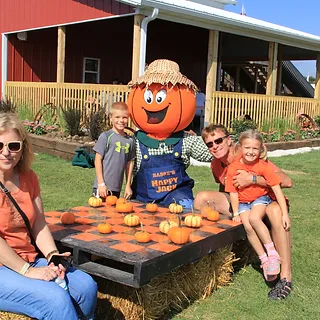 pumpkin-checker
