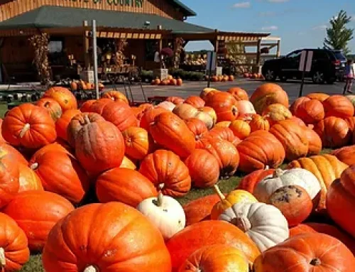 Pumpkins
