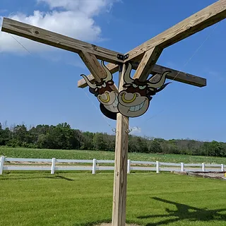 ring-the-bull