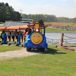 tommy_train