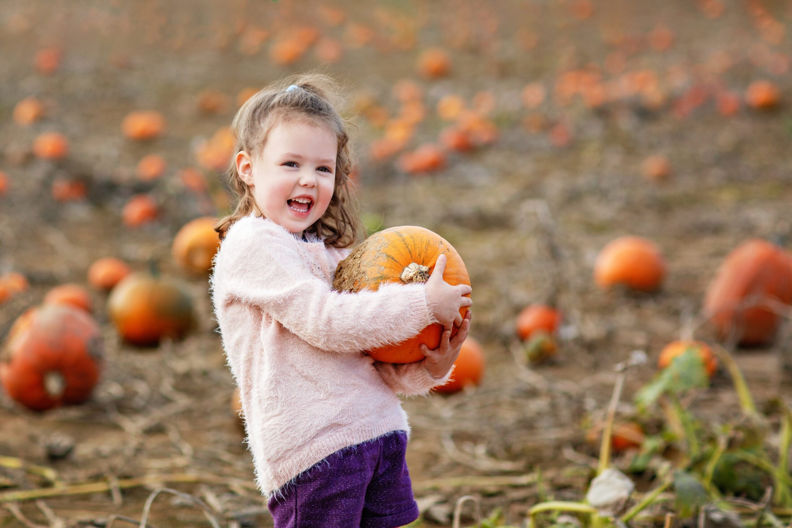 Little,Preschool,Girl,On,Pumpkin,Patch,With,Lots,Of,Pumkins